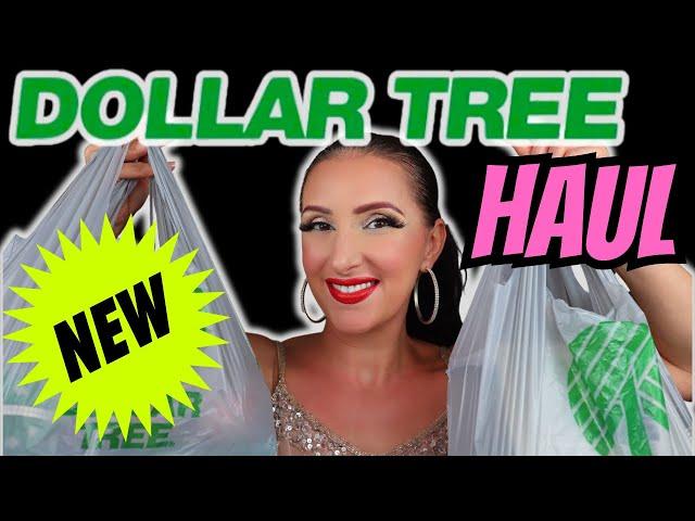 *NEW* DOLLAR TREE HAUL ️ #christmas2024 Decor, #everydayessentials & #newmakeup 