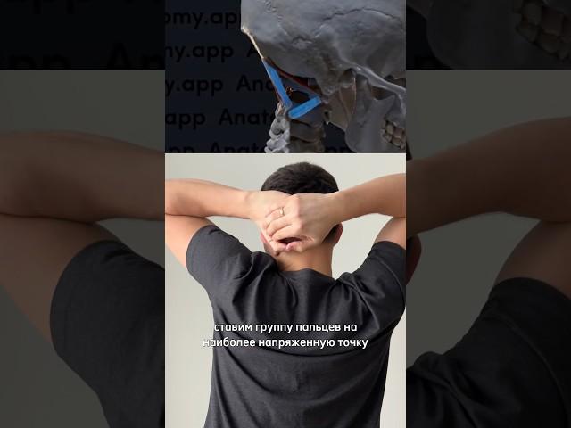 Упражнения для улучшения зрения