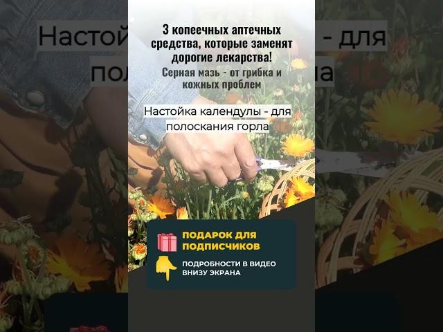 ЭТИ 3 АПТЕЧНЫХ СРЕДСТВА ЗАМЕНЯТ ДОРОГИЕ ЛЕКАРСТВА!  (Аптекари скрывают этот секрет!)