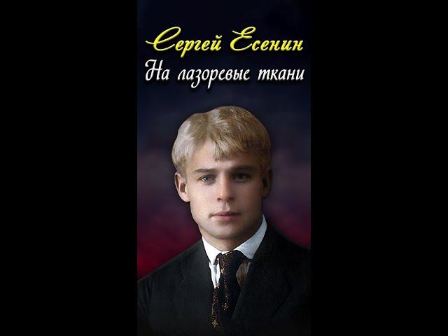 На лазоревые ткани - Сергей Есенин (читает Кирилл Радциг) #short