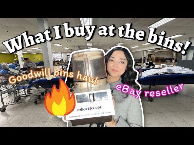 Turning $40 into hundreds at the Goodwill bins!