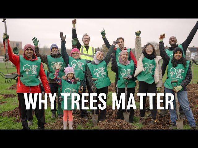 Why Trees Matter