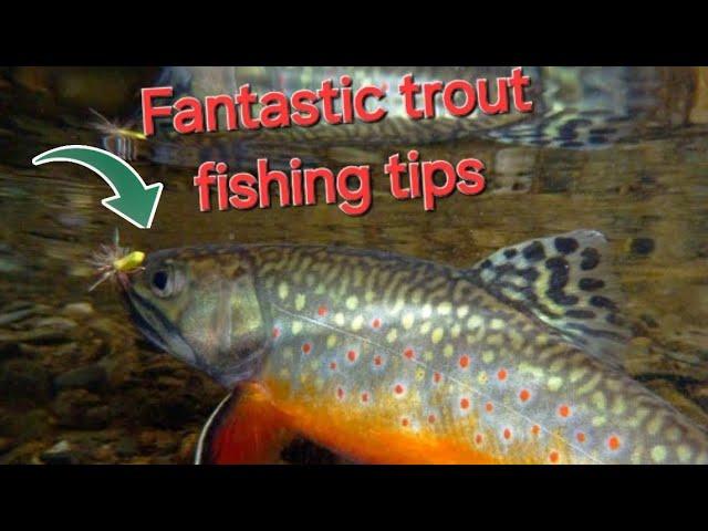 Trout Fishing Tips: How to Catch More Fish