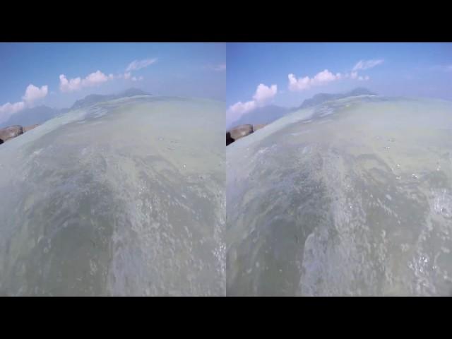 SHARK ATTACK, A young black tip reef shark in the Seychelles, 3D SBS First person POV