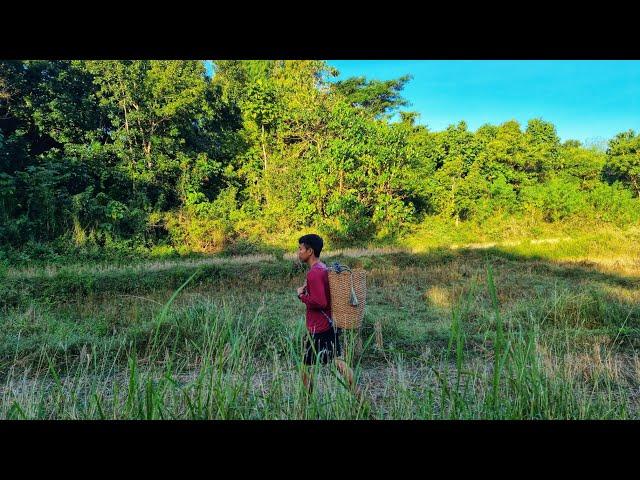 Cooking organic "SINIGANG"  fresh from the mountain | chapter 95 | PROMDI BOY