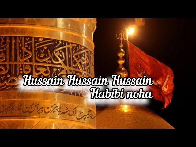 Hussain Hussain Hussain|| Habibi noha|| by Muhammad janem || Eng sub