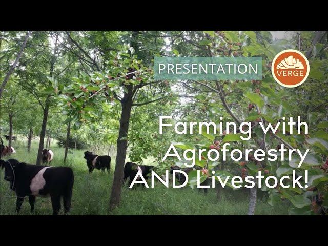 Silvopasture: How to Integrate Livestock with Agroforestry for Multiple Harvests