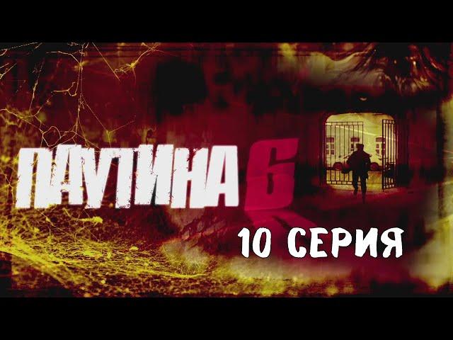 Паутина 6. Серия 10. Детективный Боевик. Криминальный Фильм