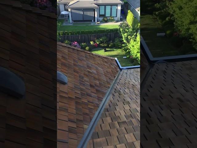 cedar roof wash