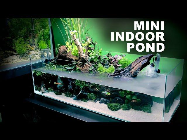 Aquascape Tutorial: Indoor Mini Pond Aquarium (How To: Full Step By Step Guide, Planted Fish Tank)