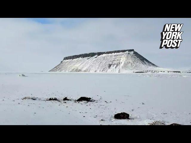 NASA discovers underground ‘city’ beneath ice sheet in Greenland