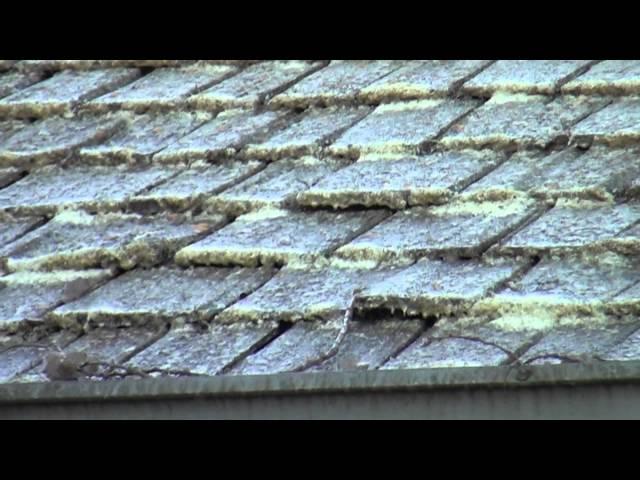 Cedar Roof Cleaning | Removing Lichen | Sullivan Roof Cleaning