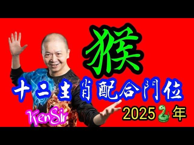 ️《猴》｜2025蛇年十二生肖｜《猴》配合家居環境｜生肖配八門吉兇｜宅命相配｜環境能量｜#2025蛇年 #生肖猴