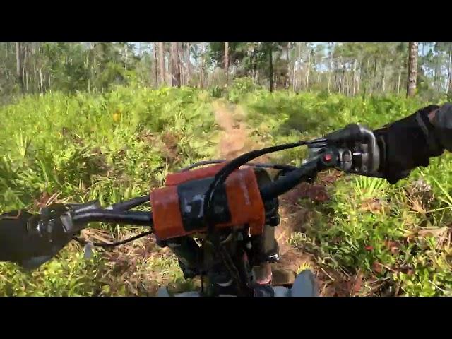 FTR Straight Arrow Enduro Richloam 2024 55+test B Test 3 raw