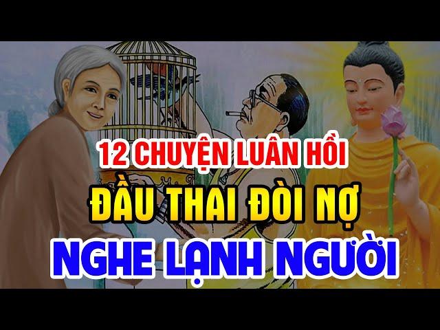 12 Chuyện Nhân Quả Phật Giáo, Về LUÂN HỒI ĐẦU THAI Đòi Nợ Ai Nghe Cũng LẠNH NGƯỜI ... Sợ Khiếp Vía