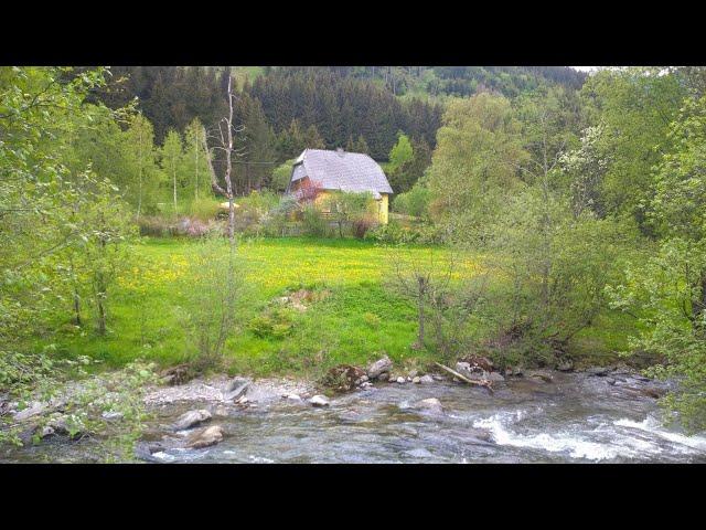 Traumhaftes Domizil in St. Nikolai - Naturpark Sölktäler