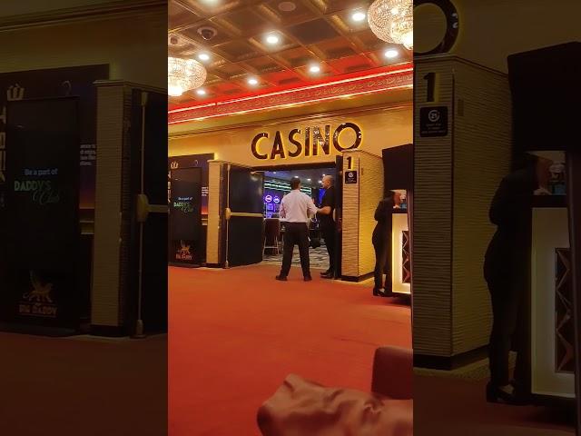 Big Daddy Casino, Goa#casino #goa
