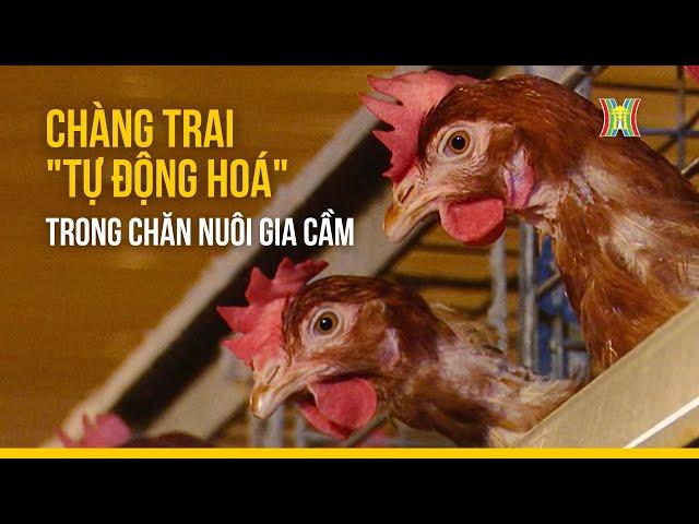 Chàng trai "tự động hoá" trong chăn nuôi gia cầm | Người tốt quanh ta