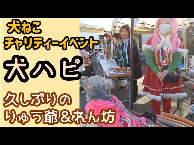 【犬ハピ】りゅうが使えなかった大量おむつを、保護犬・保護ねこちゃんに届けるぞ！