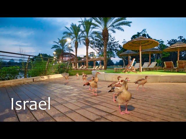 Reconnecting with Nature in the Center of Israel. Ramat Gan National Park in the Early Morning.