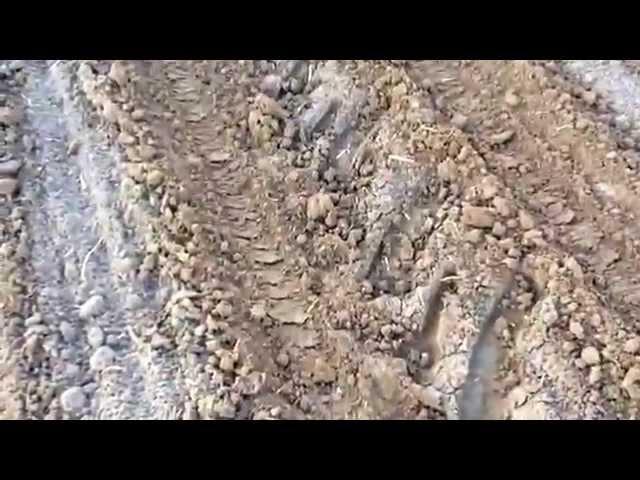 Seeding