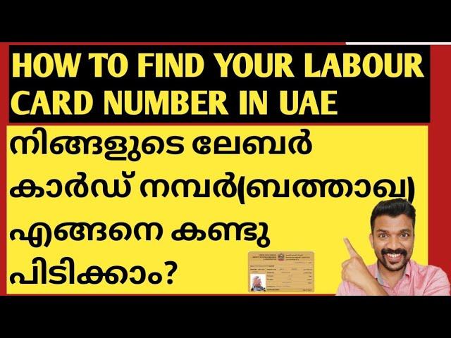 HOW TO FIND YOUR LABOUR CARD NUMBER IN UAE|നിങ്ങളുടെ ലേബർ കാർഡ് നമ്പർ(ബത്താഖ) എങ്ങനെ കണ്ടുപിടിക്കാം?