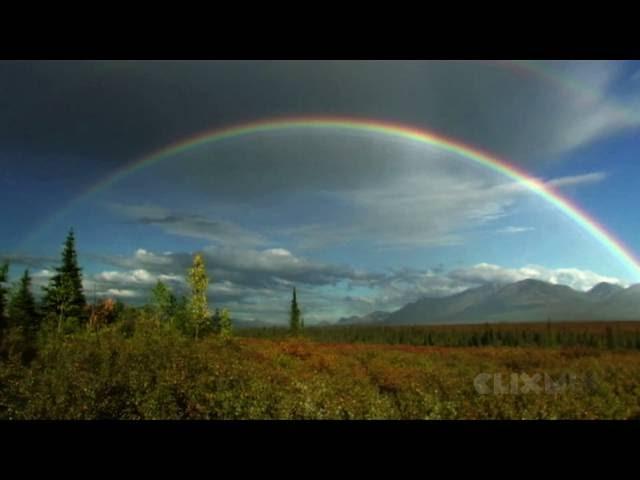 Wissensmix: Wie kommen die Farben in den Regenbogen?