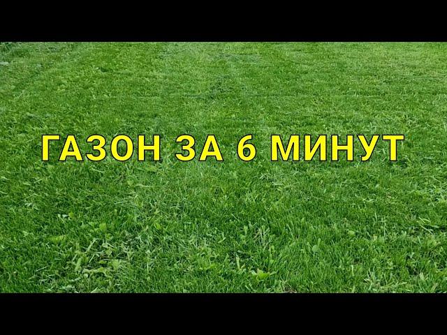 как посадить газон с нуля, полностью в видео все этапы выращивания самосевного газона