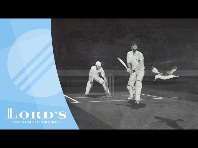 Dead Ball | The Laws of Cricket Explained with Stephen Fry