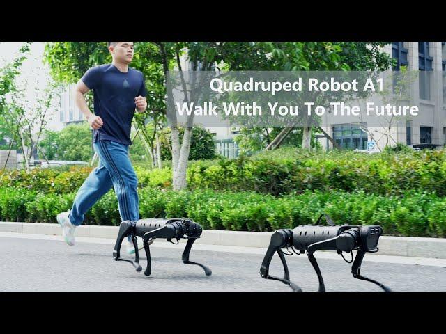 Quadruped robot A1 walk with you to the future