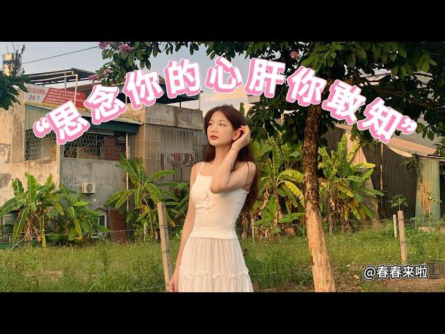 【台语歌】思念你的心肝你敢知 - 曾心梅  cover by 越南春春