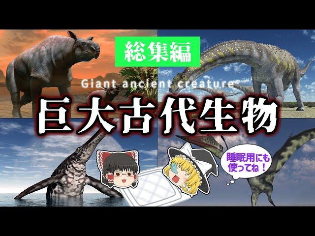 【睡眠用・ゆっくり解説】巨大な古代生物特集！　パラケラテリウム/アルゼンチノサウルス/ショニサウルス/ケツァルコアトルスなど【広告最初のみ　途中広告なし】