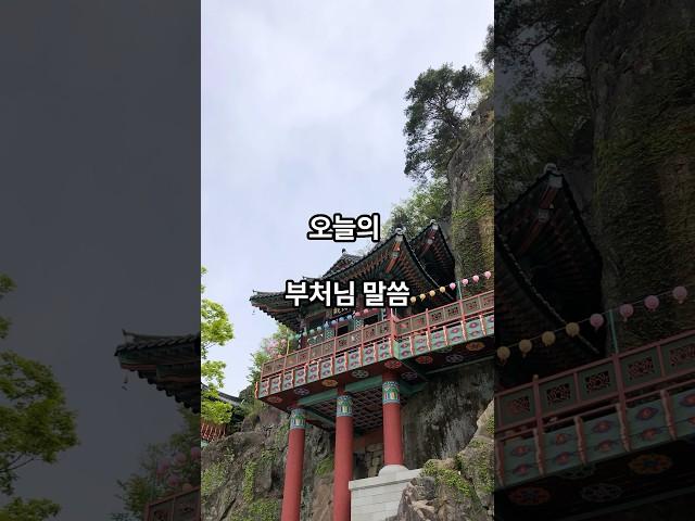 5월 29일 오늘의 부처님 말씀. #불교 #명언 #힐링 #명상