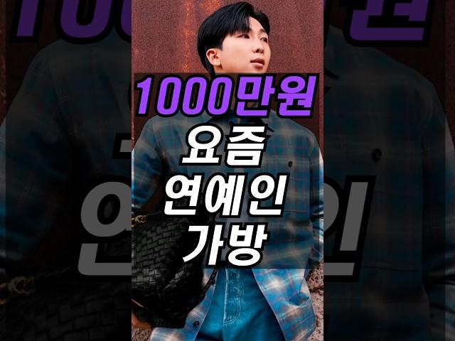 요즘 연예인들이 매는 1000만원대 명품 가방은 어디꺼?