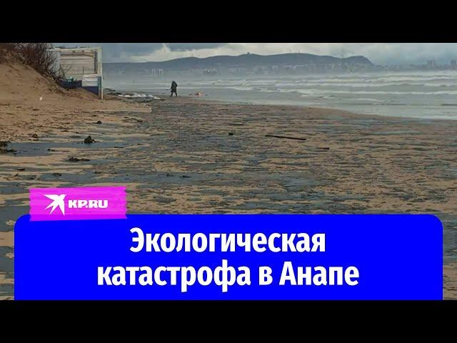 Берег моря в районе Анапы покрыло мазутом после крушения танкеров