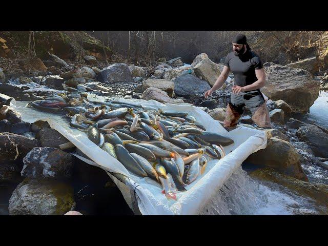 Dünya'nın En Basit Balık Tutma Tekniği / THE WORLD'S SIMPLE FISHING TECHNIQUE