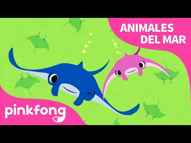 Mantarraya | ¡Superhéroe, mantarraya! | Animales del Mar | Pinkfong Canciones Infantiles