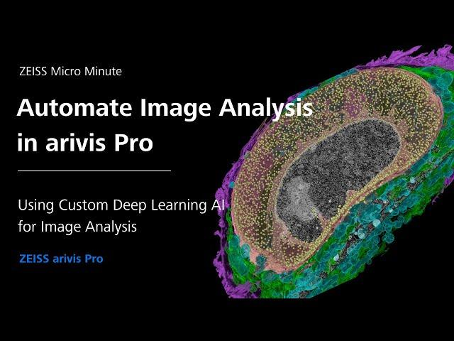 Automate Image Analysis using Pre-Trained Deep Learning AI | arivis Pro| ZMCC Live Demo | Episode 20