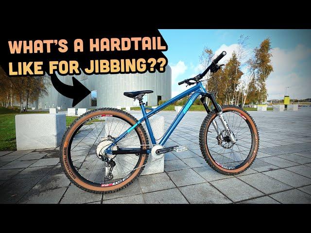 Is a hardtail better for street riding than full-suss? Bird Zero AM street first ride