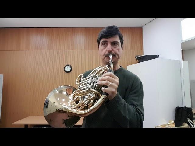 Practise Knechtel: Horn Concero 1st mov. Miklos Nagy