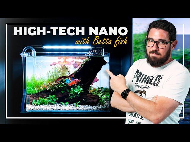 High-Tech NANO Aquarium with BETTA Fish | Step-by-Step Guide and Tips