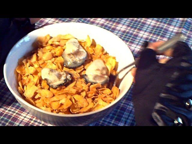 OYSTERS & CORNFLAKES