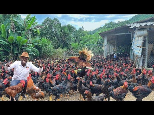 From Nothing to a Chicken King Just on a Tinny Space : AIM Agriculture Journey