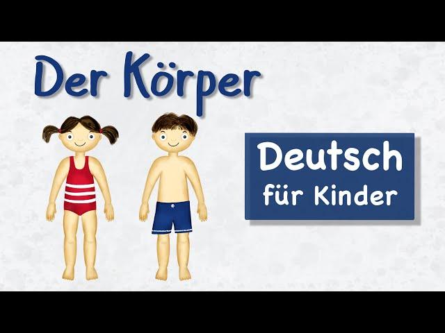 Der Körper