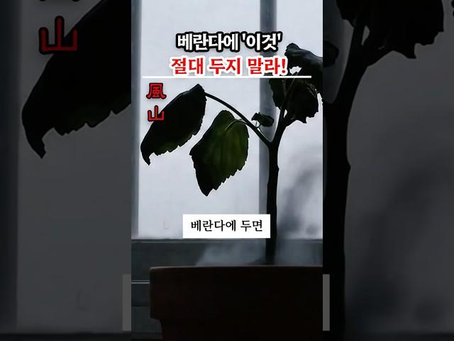 절대 베란다에 두지 말아야 할 최악의 물건 3가지!