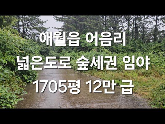 제주시 애월읍 어음리 넓은도로 숲세권 임야 1705평 12만 급 010 4436 0401 제주도부동산 토지 매매  급매물