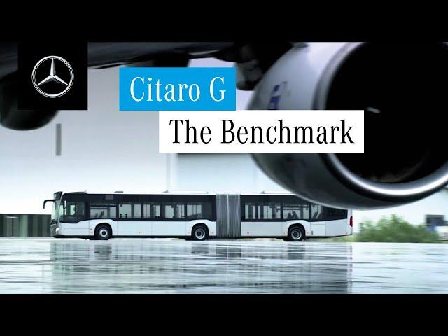 The Citaro G is the Benchmark | Mercedes-Benz Buses