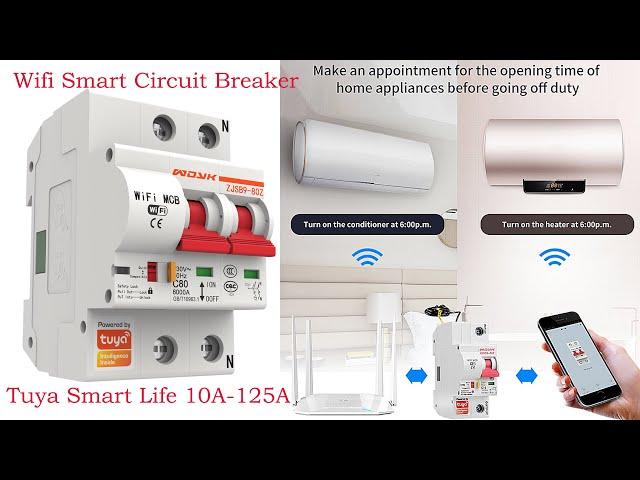 Tuya Smart Life 10A 125A Wifi Smart Circuit Breaker SETUP
