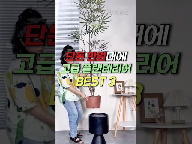 단돈 만원대에 고급 플랜테리어 식물 3가지?