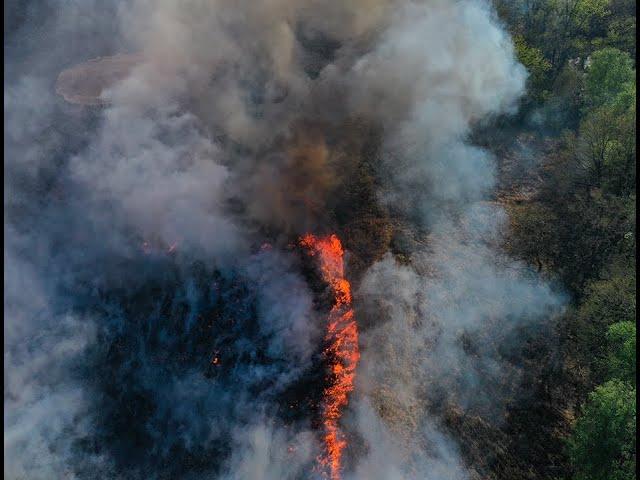 Feuer im Meinweg - Einen Monat danach (4K UHD) | fireflite.de